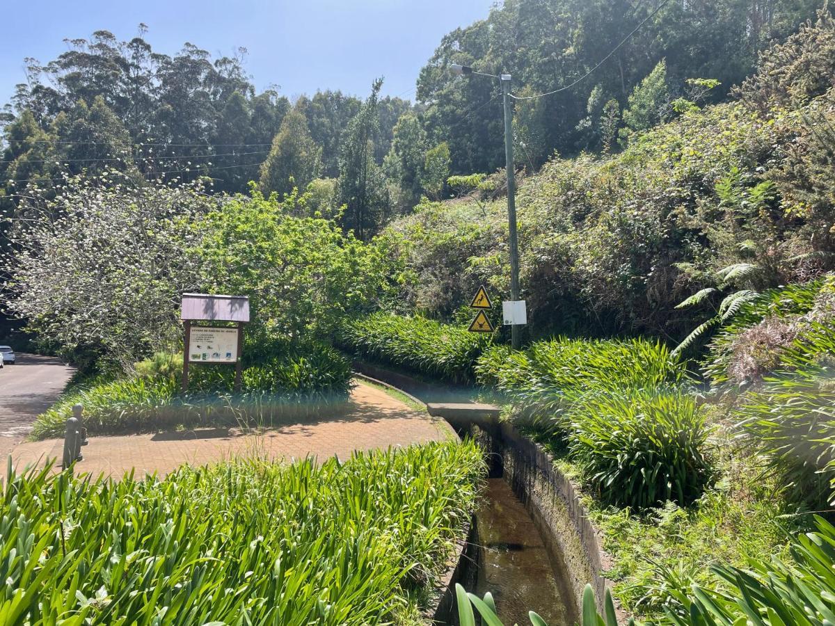 Casa Caroto Διαμέρισμα Porto Moniz Εξωτερικό φωτογραφία